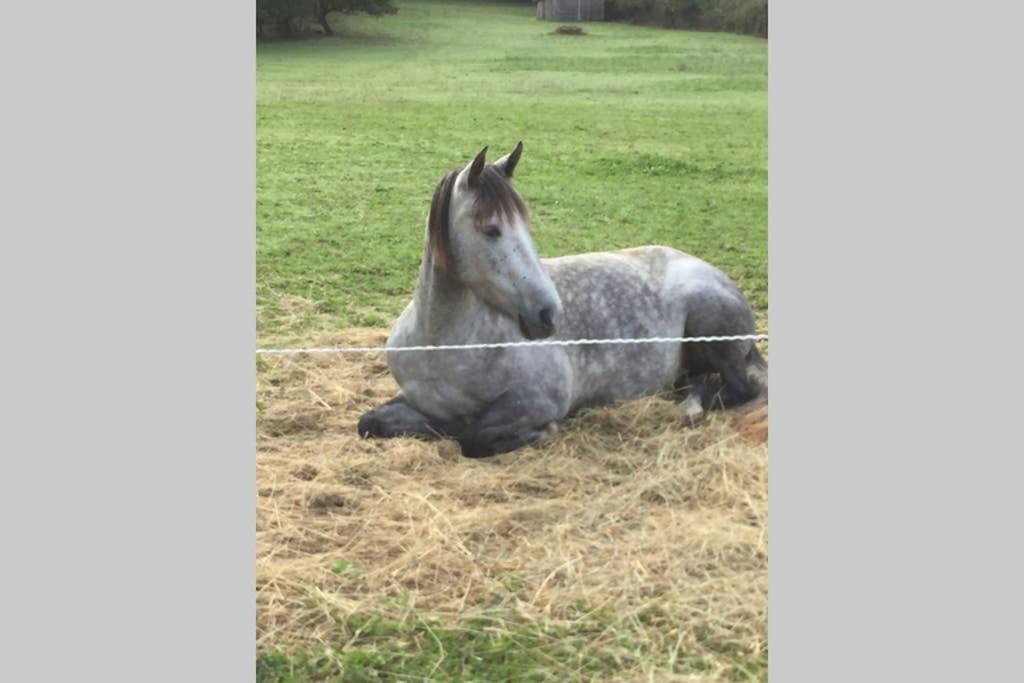 Hippo-Gite Biron  Exterior foto